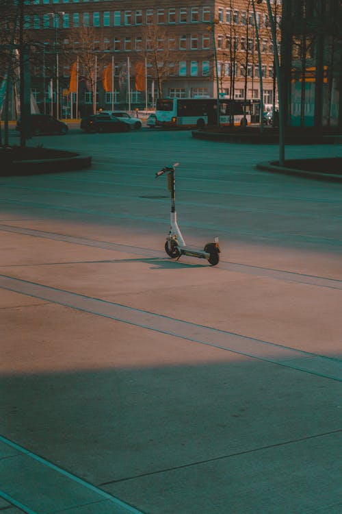 Flexibilities and Distance Coverage of E-scooters