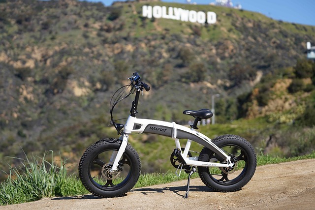 Folding e-bike